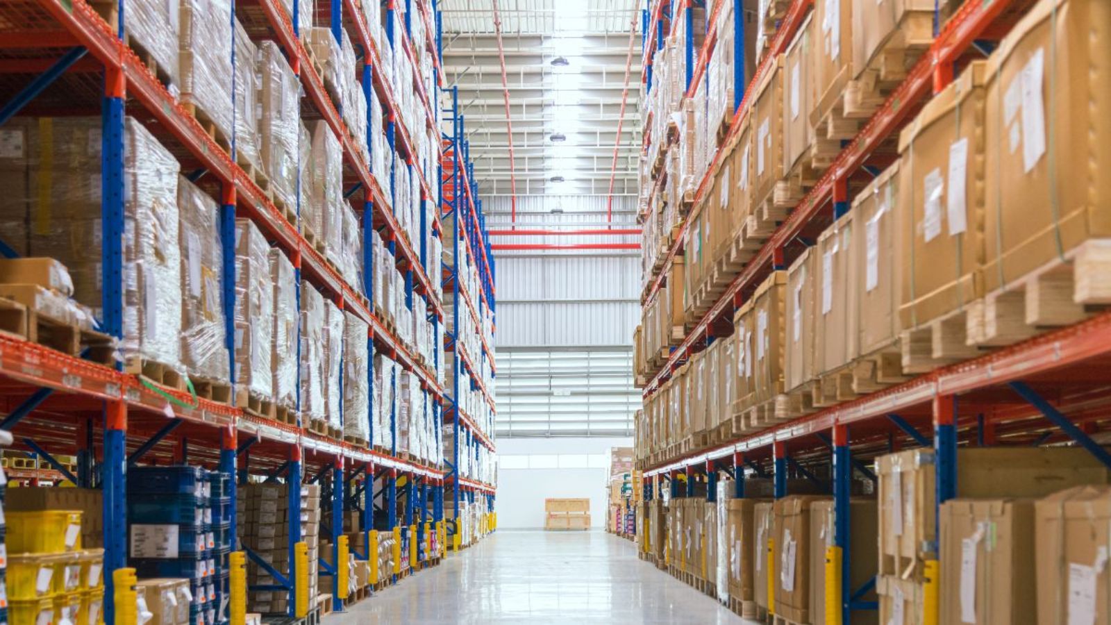 Dedicated Contract Warehousing vs Public Warehousing: What Fits Your Summer Needs?